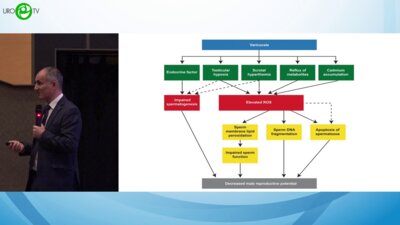 Гамидов С.И. - Роль хирургии в мужской репродукции