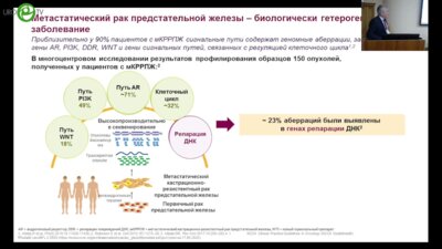Алексеев Б.Я. - Рак предстательной железы. Генетические аспекты