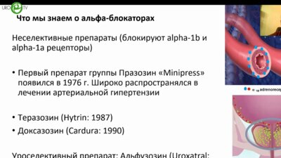 Котов С.В. - Нерешённые вопросы терапии альфа-блокаторами