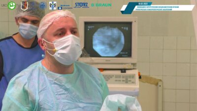 Малхасян В.А. - Ретроградная гибкая пиелолитотрипсия