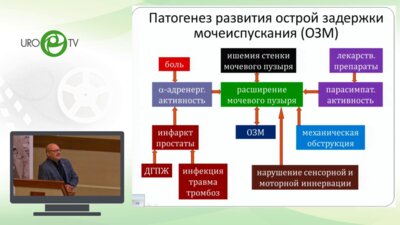 Мартов А.Г. - Терапия ОЗМ – варианты, результаты, будущее пациента