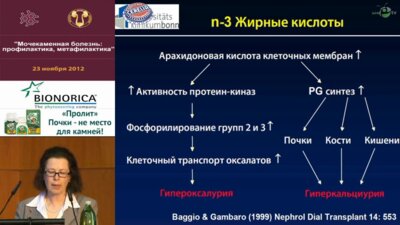 Р. Зинер "Современный взгляд на факторы риска камнеобразования"