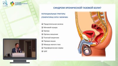 Миркин Я.Б. - Органы малого таза в качестве триггеров СХТБ