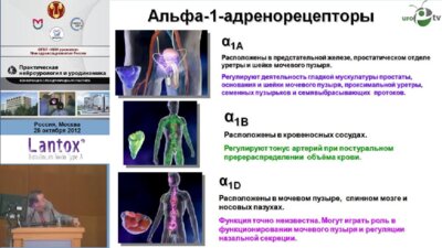 Борисов В.В. "Силодозин. Сегодня и завтра."
