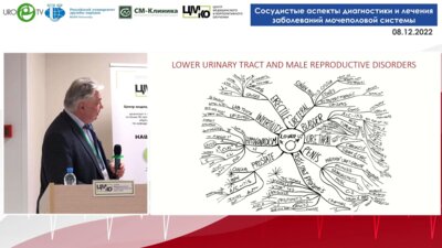 Капто А.А. - Варикозная болезнь таза как нозологическая форма