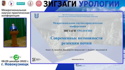 Помешкин Е.В. - Современные возможности резекции почки