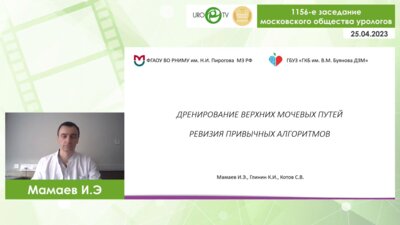 Мамаев И.Э. - Дренирование верхних мочевых путей. Ревизия привычных алгоритмов