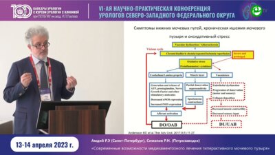 Амдий Р.Э. - Современные возможности медикаментозного лечения ГМП