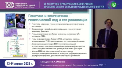 Божедомов В.А. - Генетика и эпигенетика мужского бесплодия. Что мы знаем в 2023 году?