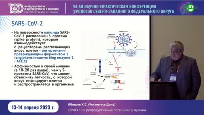 Ибишев Х.С. - COVID 19 и репродуктивный потенциал у мужчин