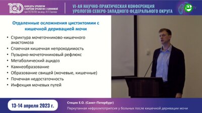 Стецик Е.О. - Перкутанная нефролитотрипсия у больных после кишечной денервации мочи