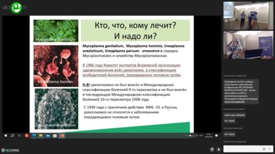 Бушина М.С. - Возможности применения моксифлоксацина в лечении урогенитальных инфекций