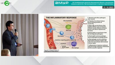 Попов Д. М. - Острое и хроническое воспаление в урологии