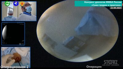 Горелов Д.С. - РИРХ