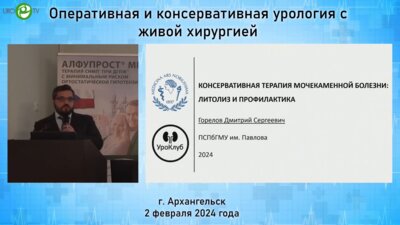 Горелов Д.С. - Консервативная терапия мочекаменной болезни. Литолиз и профилактика