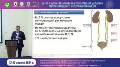 Сулейманов М.М. - Паллиативные методы хирургического лечения пациентов с уротелиальной карциномой полостной системы единственной почки