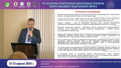 Шорманов И.С. - Патогенетические и патоморфологические особенности возраст-ассоциированой перестройки детрузора