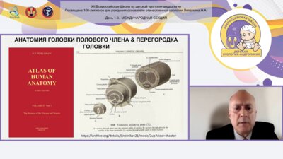 Hüseyin Özbey - Функциональная анатомия мужской уретры и головчато-уздечный воротник (GFC) при гипоспадии