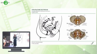 Осокина М.Н. - Скелетно-мышечные нарушения в тазовом регионе