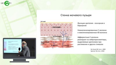Кузьмин И.В. - Сенсорная функция уротелия. Молекулярные механизмы