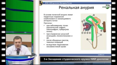 Трудов А.А. - Симптоматика урологических заболеваний