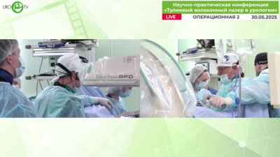 Мартов А.Г., Андронов А.С. - Эндоскопическая комбинированная интраренальная хирургия