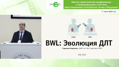 Гаджиев Н.К. - BWL: эволюция ДЛТ