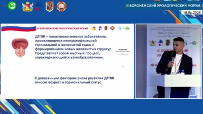 Нечипоренко В.Ю. - Экспериментальная модель аденомы предстательной железы