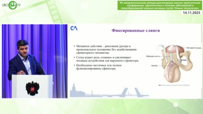 Топузов Т.М. - Хирургическая анатомия мужского таза. Пошаговая установка мужского репозиционного слинга