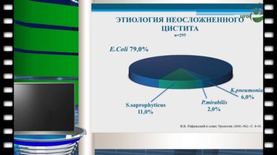 Шамин М.В. - Острый и хронический цистит 