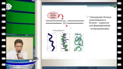 Жуматаев М.Б. - "Эпигенетика рака простаты" 