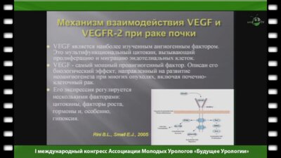 Туманян В.Г. - "Клиническое значение ангиогенных факторов при раке почки"