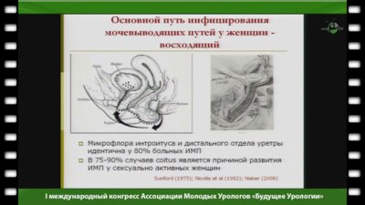 Зайцев А.В. - "Инфекции мочевыводящих путей. Современные подходы к лечению и профилактике. Что нового?"