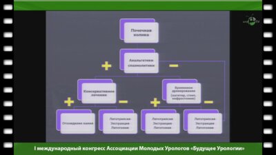 Малышев А.В. - "Выбор метода лечения при некупирующейся почечной колике"