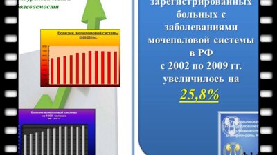 Шамин М.В. - "Опыт применения современных информационных технологий в работе амбулаторного уролога"