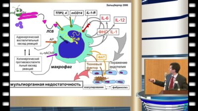 Wagenlehner F. - "Оптимальное ведение уросепсиса в урологии"