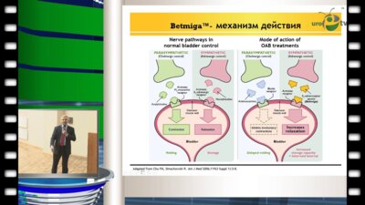 Кривобородов Г.Г. - "Ботулинический токсин типа А в лечении нейрогенных дисфункций нижних мочевыводящих путей"