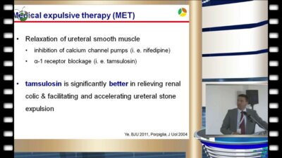 P. Honeck, Sindelfingen (DE) - Консервативное лечение мочекаменной болезни - что должен знать уролог