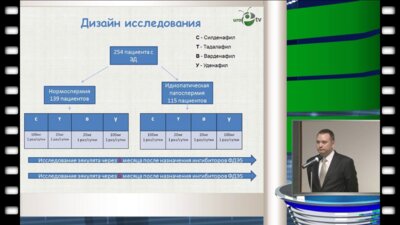 Куликов А.О. - Влияние ингибиторов фосфодиэстеразы 5 типа на сперматогенез