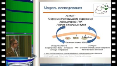 Б. Вульт - Что нового в передовых исследованиях по мочевой инфекции?