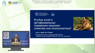 Львов А.Н. - Pruritus scroti и артифициальные поражения мошонки: соматика или психосоматика?