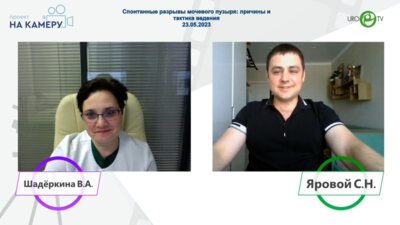 Яровой С.Н. - Спонтанные разрывы мочевого пузыря: причины и тактика ведения