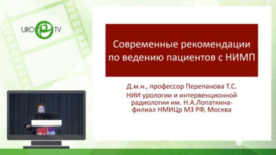 Перепанова Т.С. - Современные рекомендации по ведению пациентов с НИМП