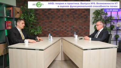 Просянников М.Ю., Громов А.И. - Возможности КТ в оценке функциональной способности почек