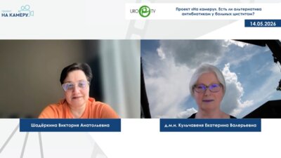 Кульчавеня Е.В., Шадеркина В.А. - Есть ли альтернатива антибиотикам у больных циститом?