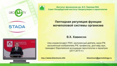 Хавинсон В.Х. - О механизме действия Витапроста