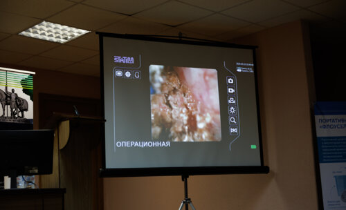 ФОТОАЛЬБОМ.  «Урологические встречи на Суре»