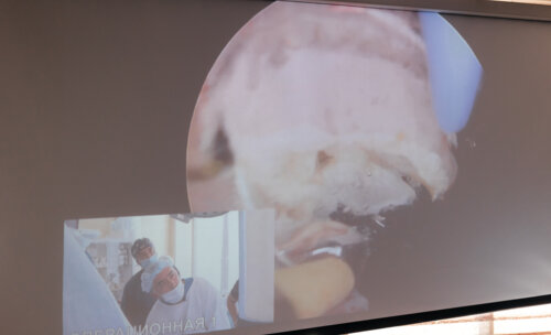 Конгресс урологов ФМБА России «Союз теории и практики»