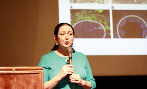 X Всероссийская научно-практическая конференция «Рациональная Фармакотерапия в УРОЛОГИИ - 2016»