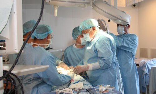 Всероссийская школа урологов «Реконструктивно-пластическая и лапароскопическая урология» 2012